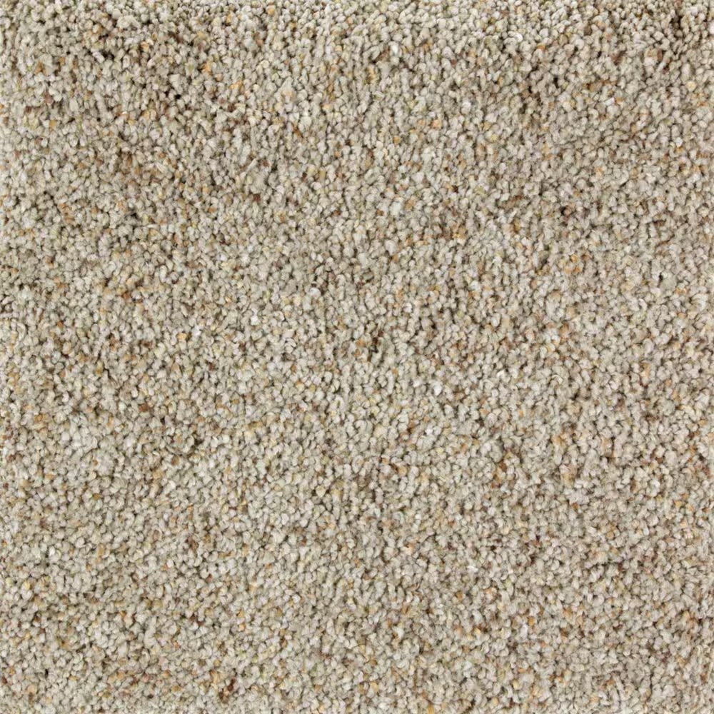 Mohawk Exquisite Appeal Carpet in Windsor Castle