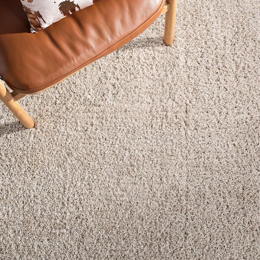 106266-safavieh-august-shag-4-x-6-beige-area-rug-1.jpg