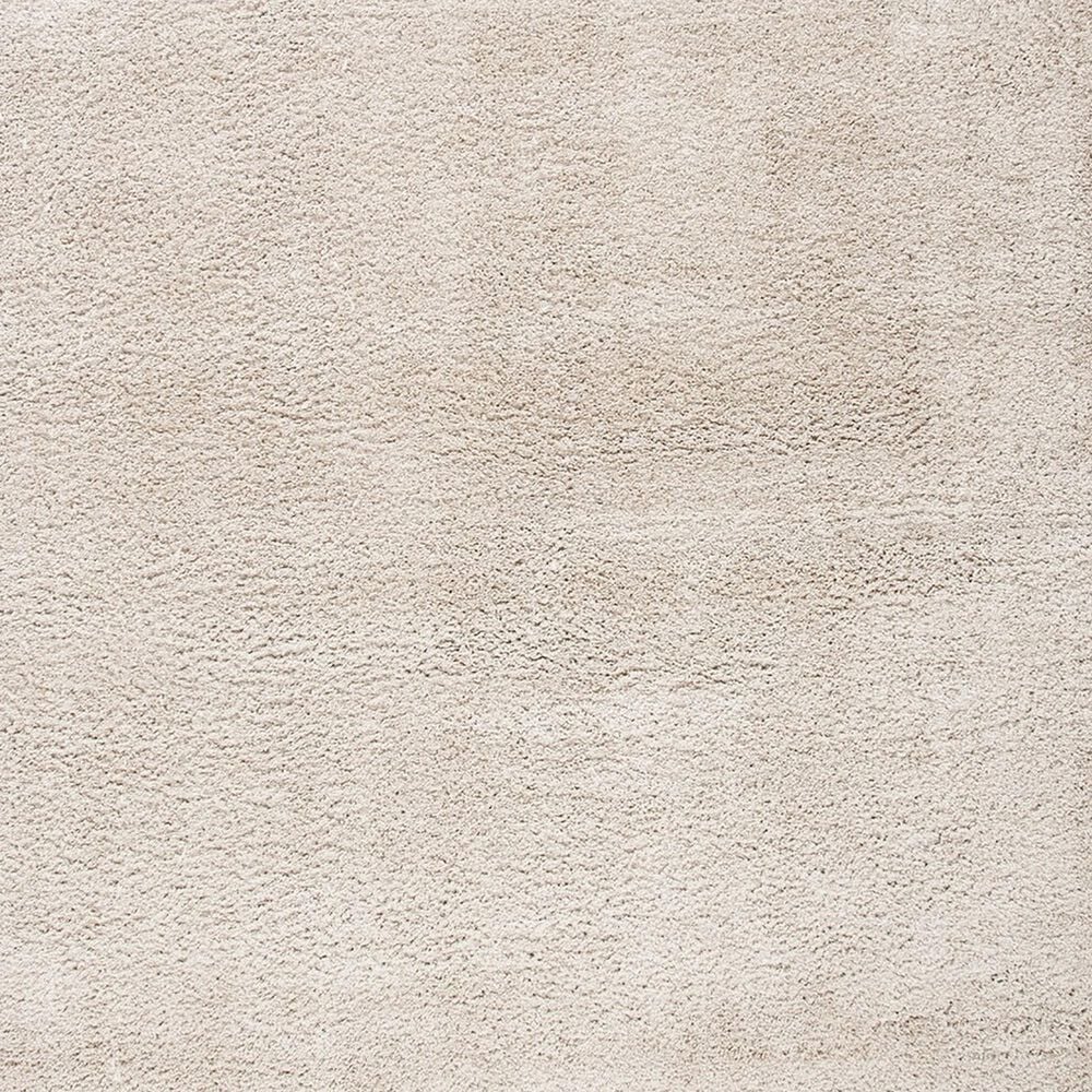 106266-safavieh-august-shag-4-x-6-beige-area-rug-1.jpg