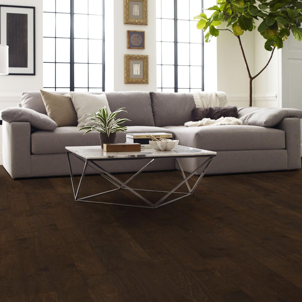 119-shaw-st-petersburg-bayfront-birch-engineered-hardwood-1.jpg