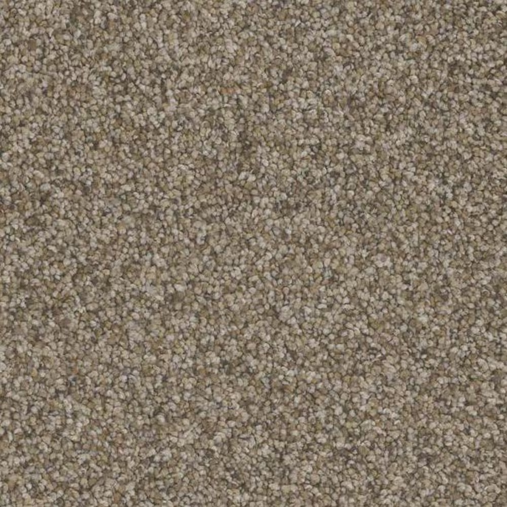 Phenix Catania Carpet in Opera