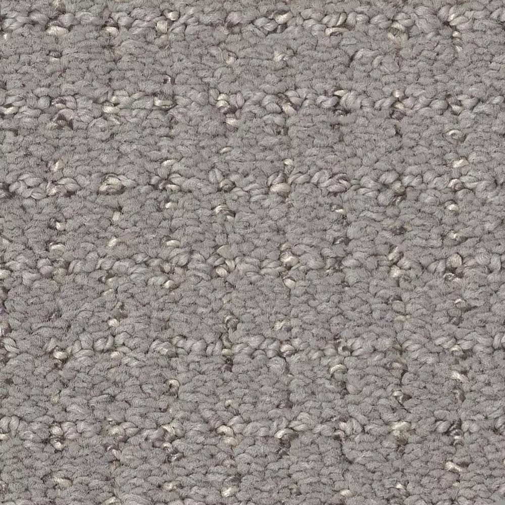 Anderson Tuftex Lyric Carpet in Sensible