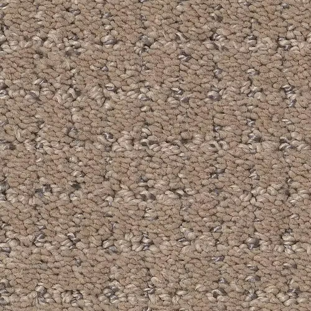 Anderson Tuftex Lyric Carpet in Camelback
