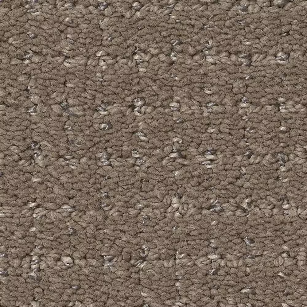 Anderson Tuftex Lyric Carpet in Sable