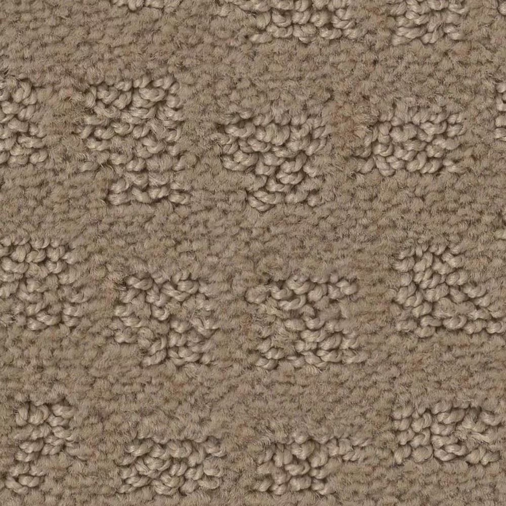Shaw West Haven Carpet in Sierra Hills