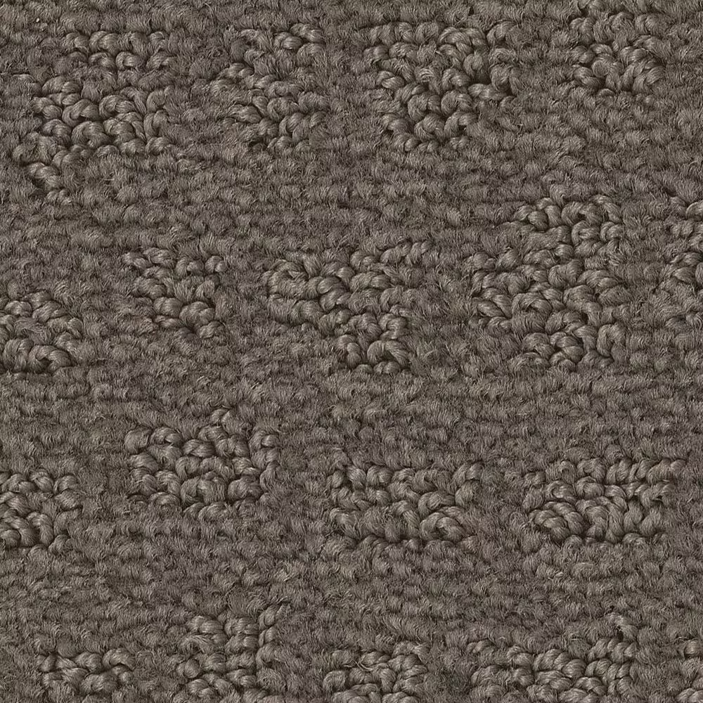 Anderson Tuftex West Haven Carpet in Potting Soil