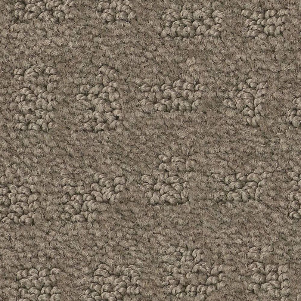 Anderson Tuftex West Haven Carpet in Riverbank