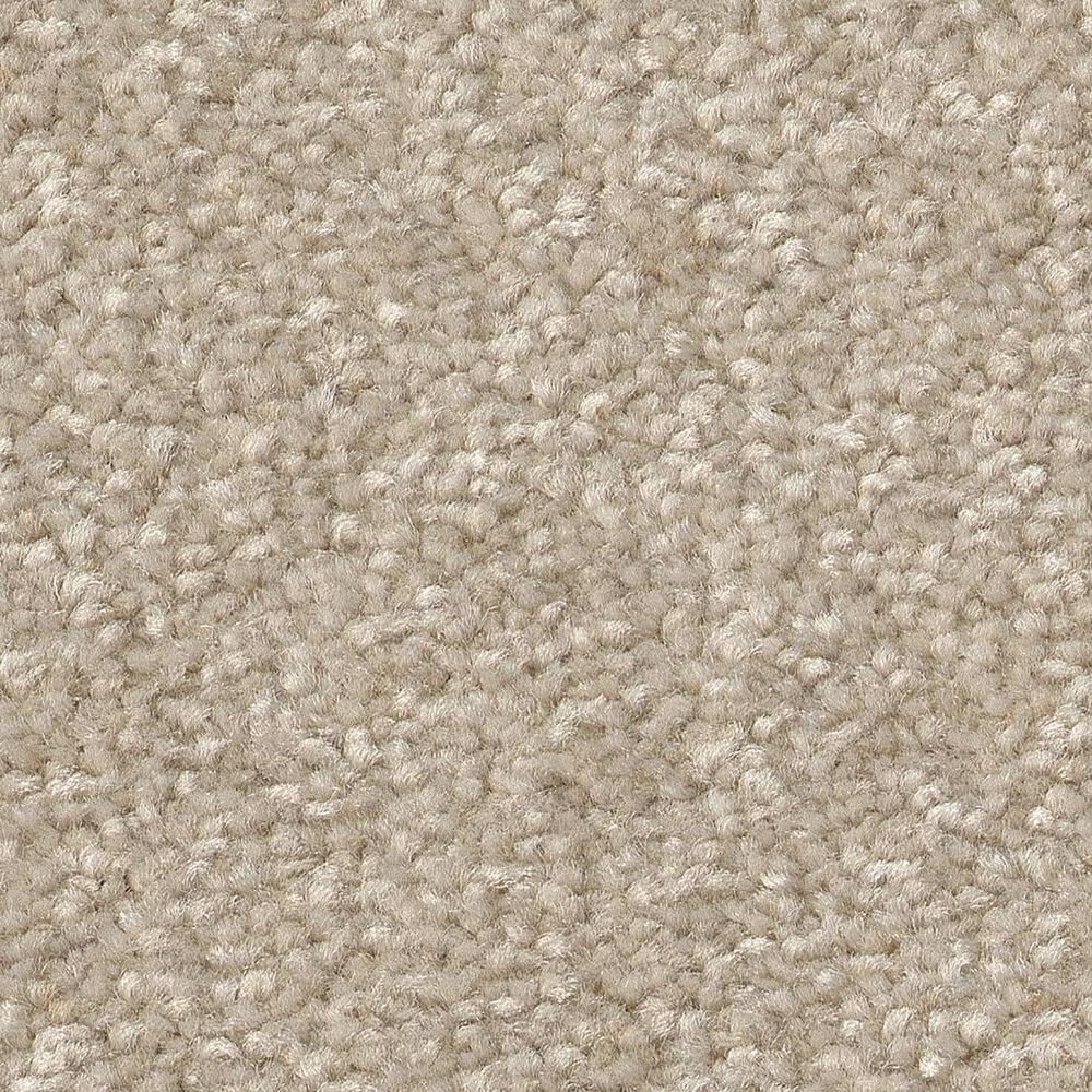 Shaw Hard At Play II Carpet in Natural