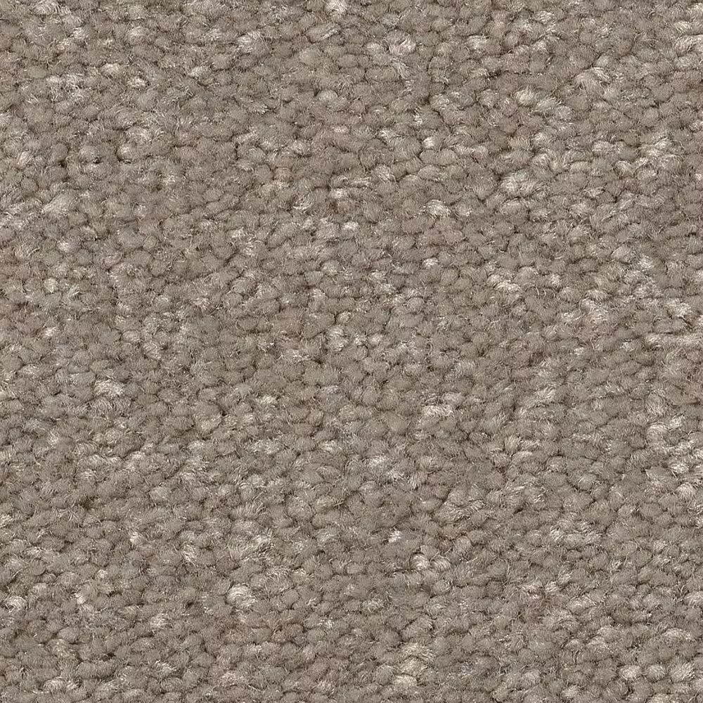 Shaw Hard At Play II Carpet in Chic Greige