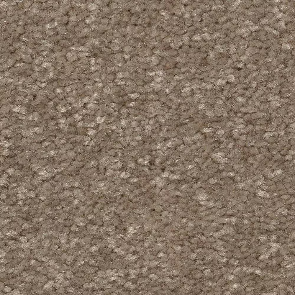 Shaw Hard At Play II Carpet in Cameo