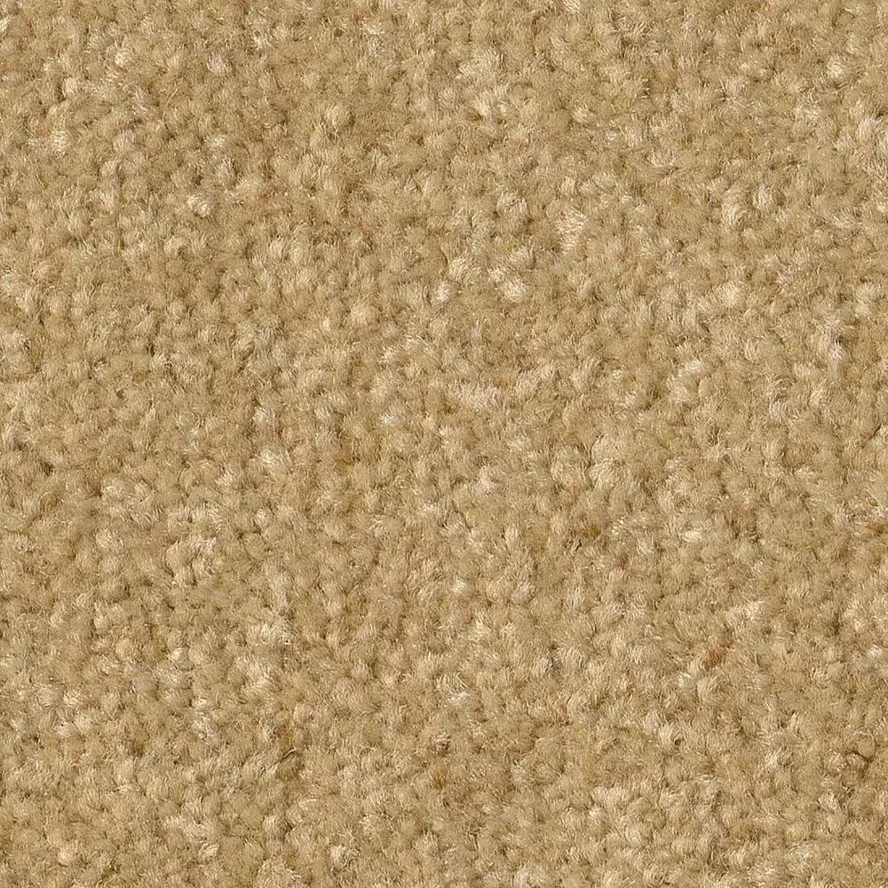 Shaw Hard At Play II Carpet in Honeycomb