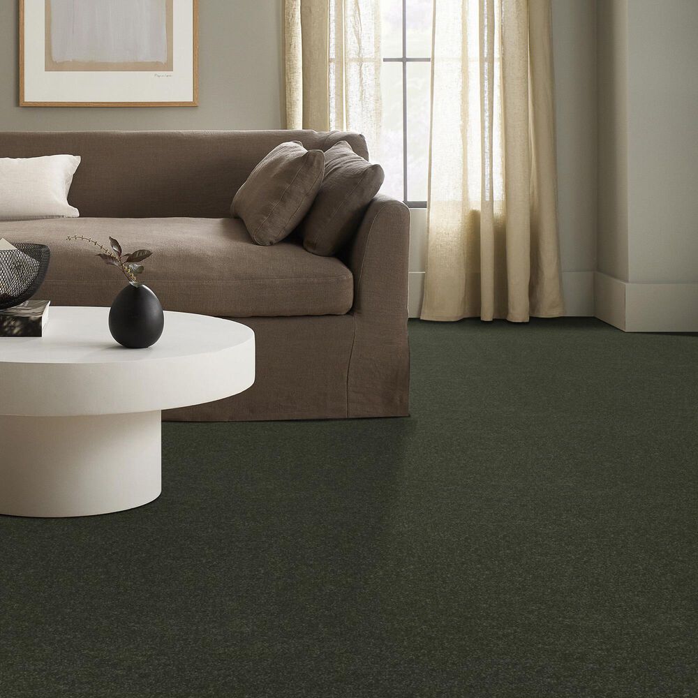 120982-shaw-hard-at-play-ii-carpet-in-rerooted-nature-1.jpg