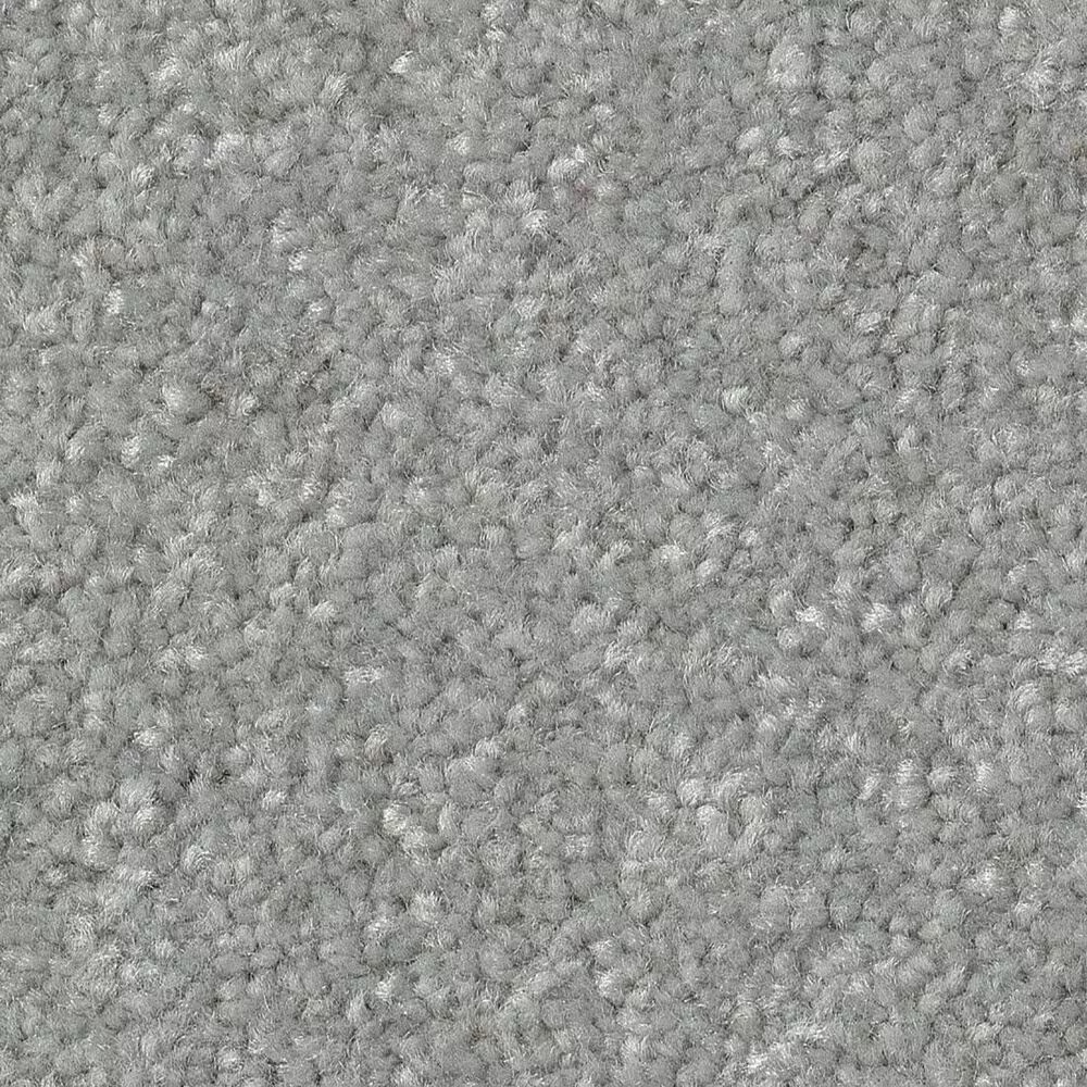 Shaw Hard At Play II Carpet in Frosted Leaf