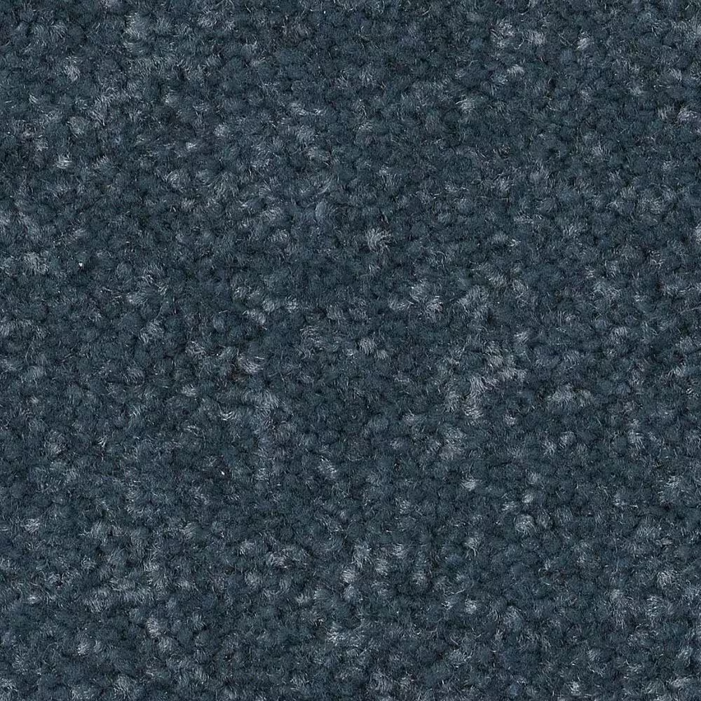 Shaw Hard At Play II Carpet in Refined
