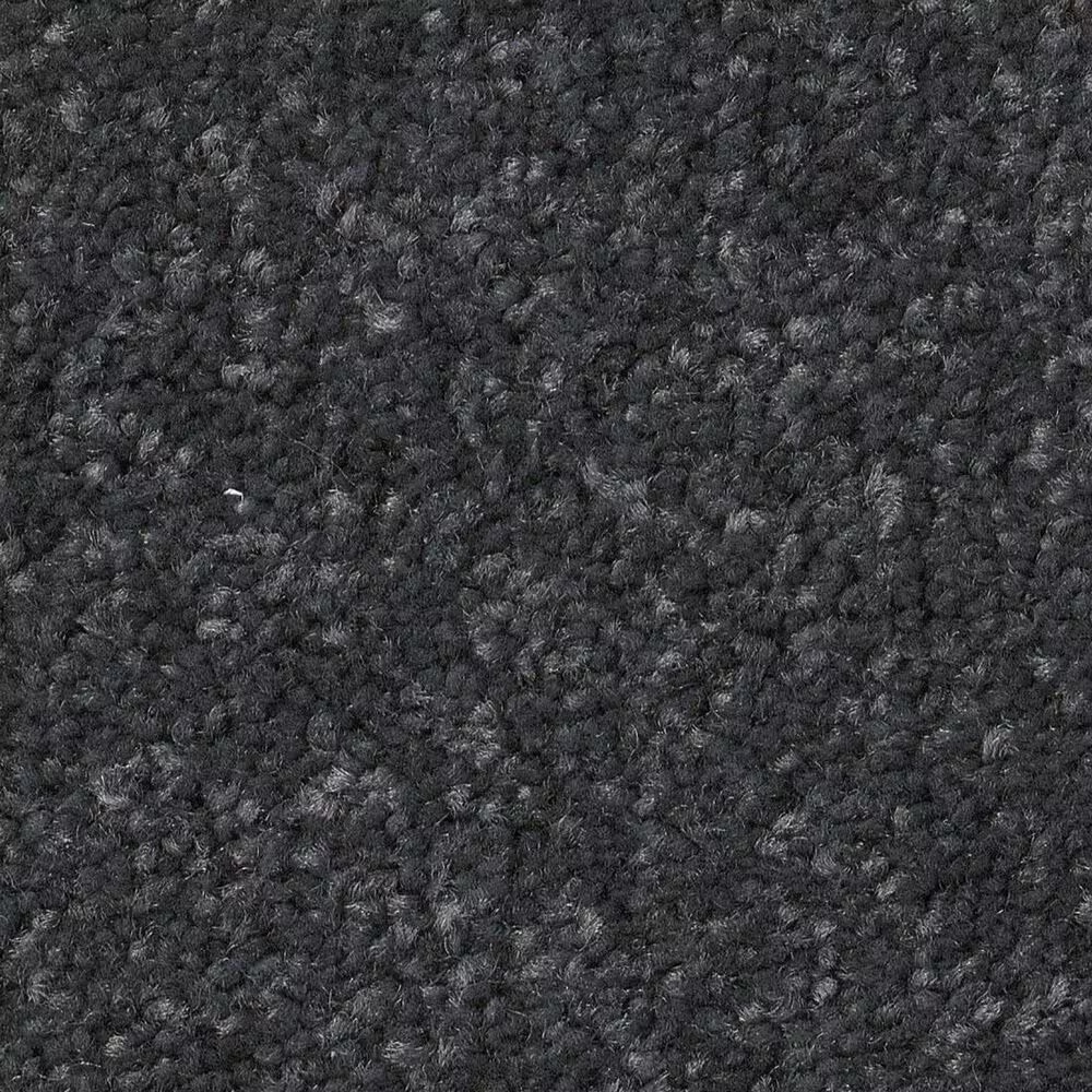 Shaw Hard At Play II Carpet in Shadow