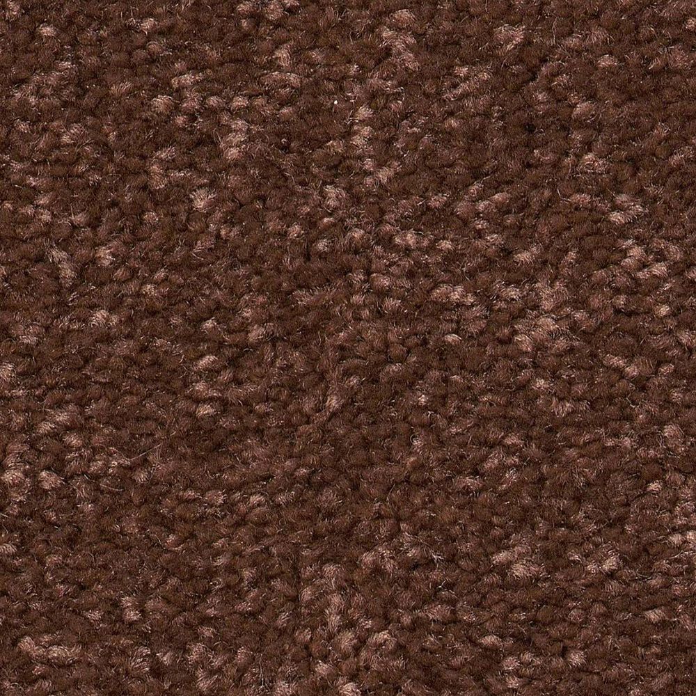 Shaw Hard At Play II Carpet in Orange Oxide