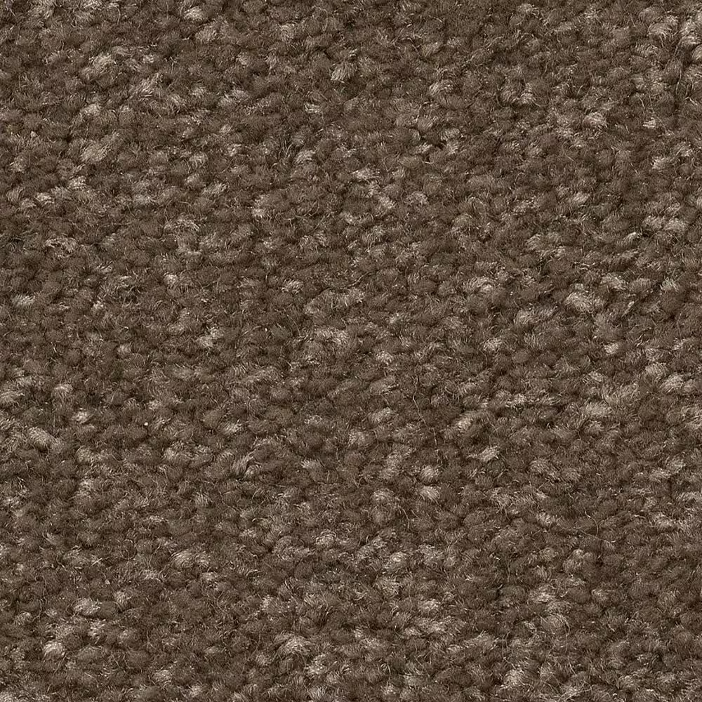 Shaw Hard At Play II Carpet in Mission Ridge