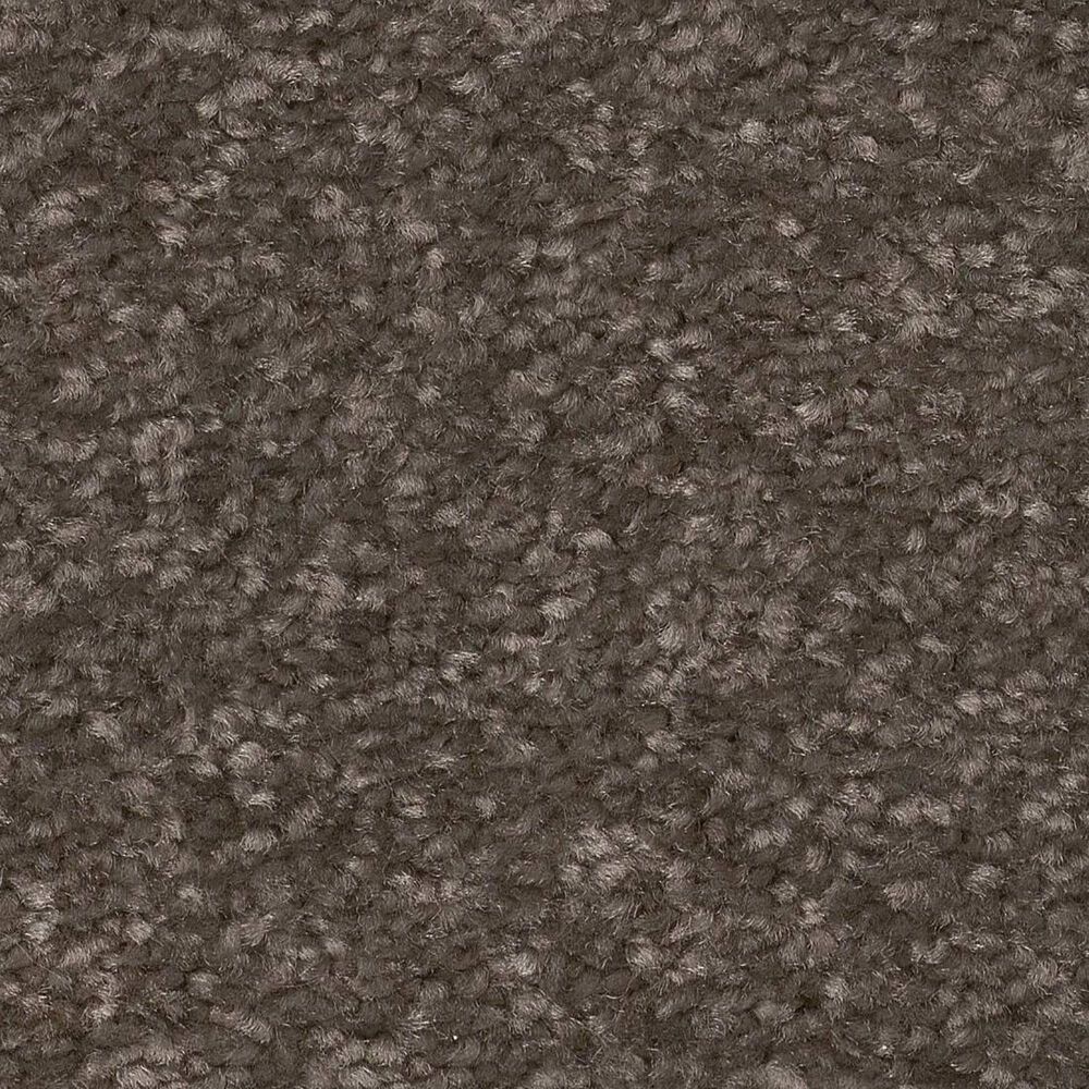 Shaw Hard At Play II Carpet in Urban Rustic