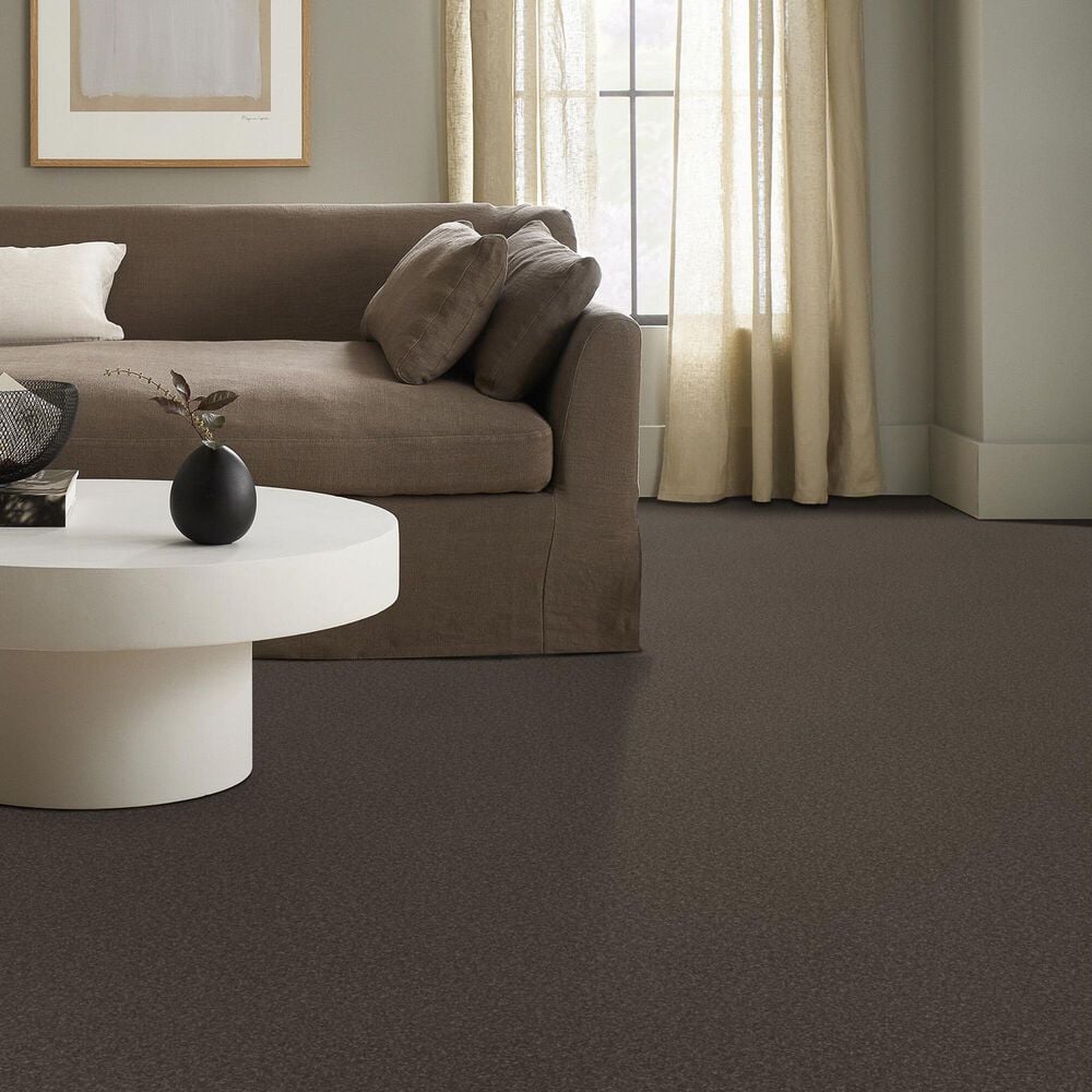 121417-shaw-hard-at-play-ii-carpet-in-urban-rustic-1.jpg