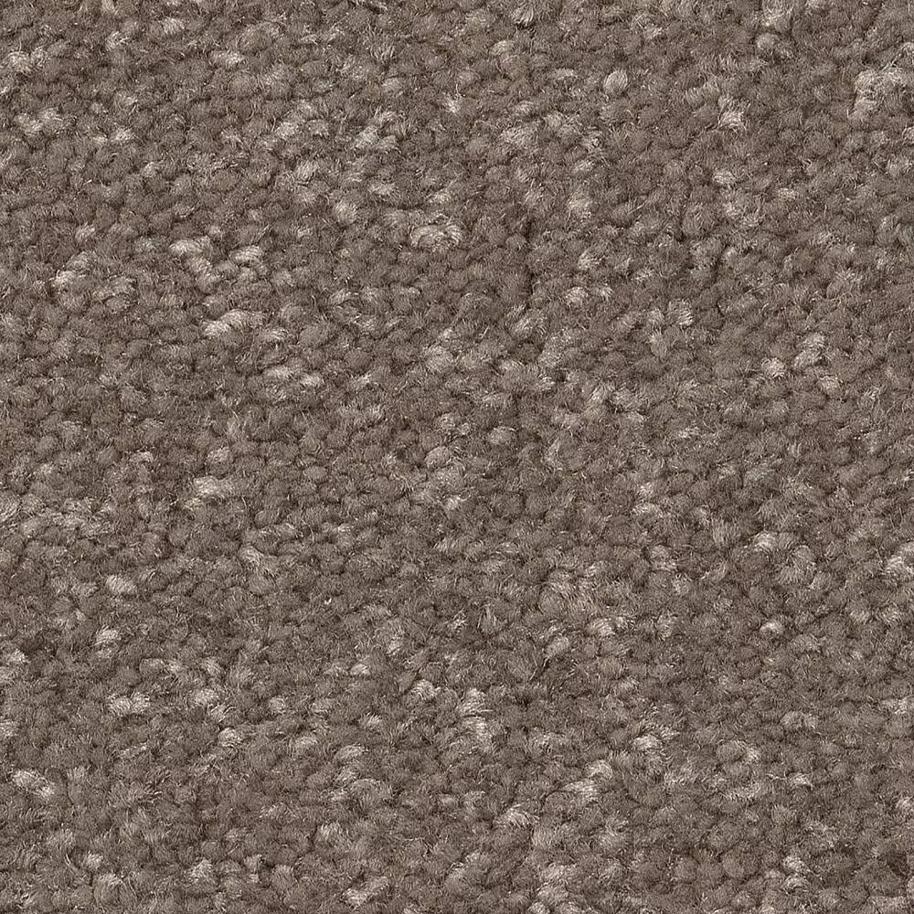 Shaw Hard At Play II Carpet in Cobblestone