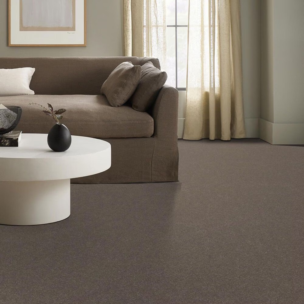 121446-shaw-hard-at-play-ii-carpet-in-cobblestone-1.jpg