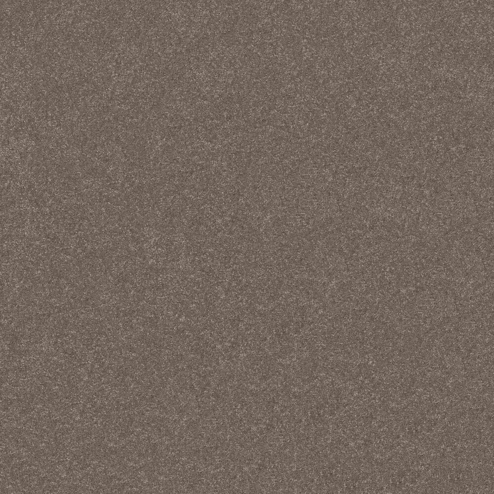 121446-shaw-hard-at-play-ii-carpet-in-cobblestone-1.jpg