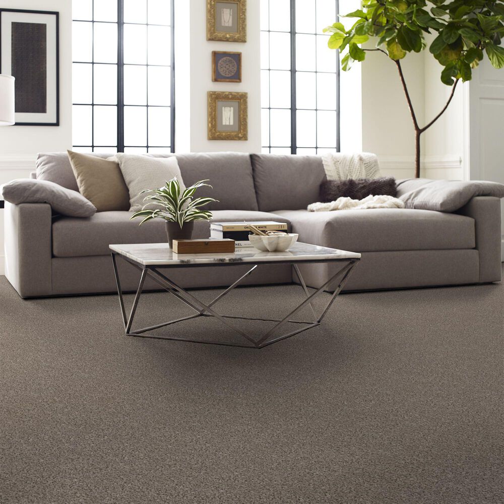 Shaw Basic Mix Carpet in Baltic Stone