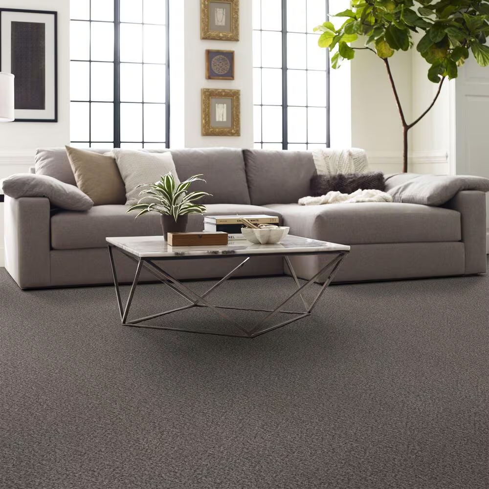 Shaw Basic Mix Carpet in Metro Gray