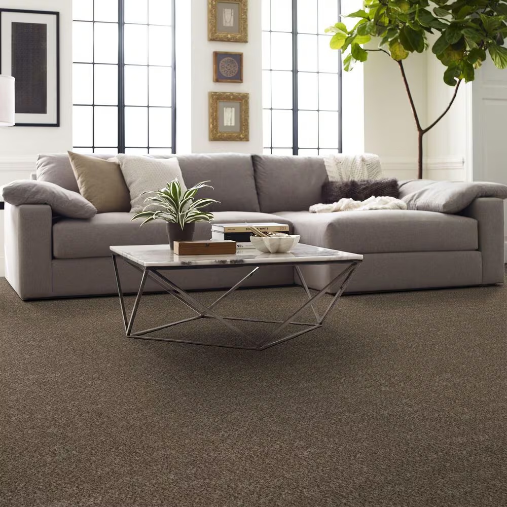 Shaw Basic Mix Carpet in Raw Wood