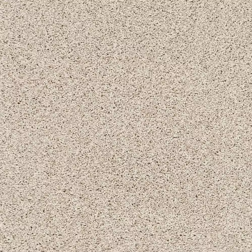 Mohawk Blended Moments Carpet in Harmony