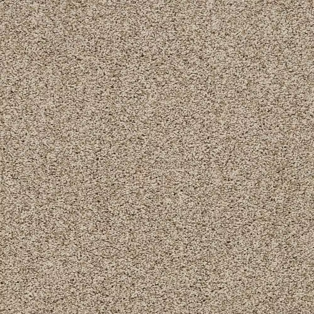 Mohawk Blended Moments Carpet in Pathfinder