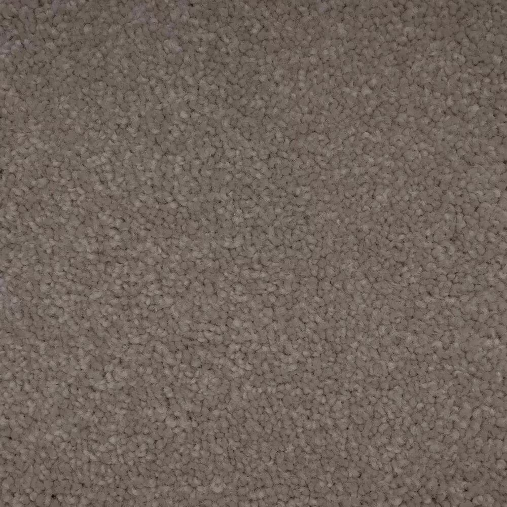 Mohawk Blended Moments Carpet in Bliss