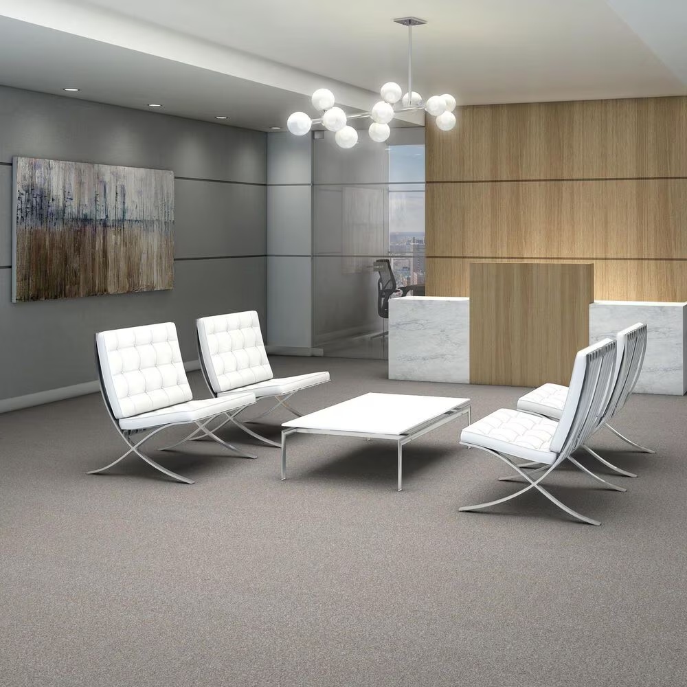 Shaw Yes You Can III Carpet in Frozen