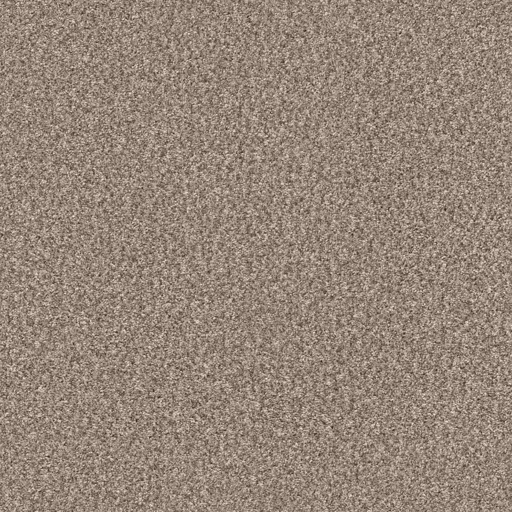 Shaw Yes You Can III Carpet in Glacier