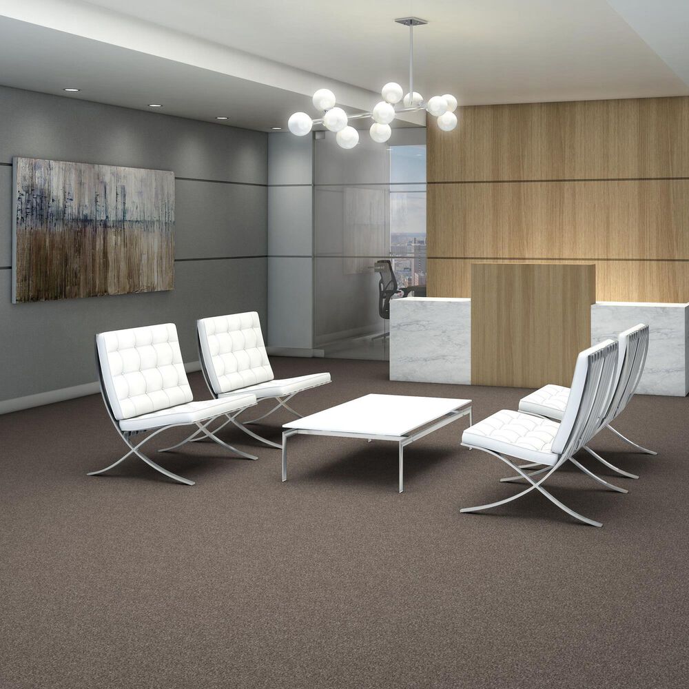 Shaw Yes You Can III Carpet in Soft Sense