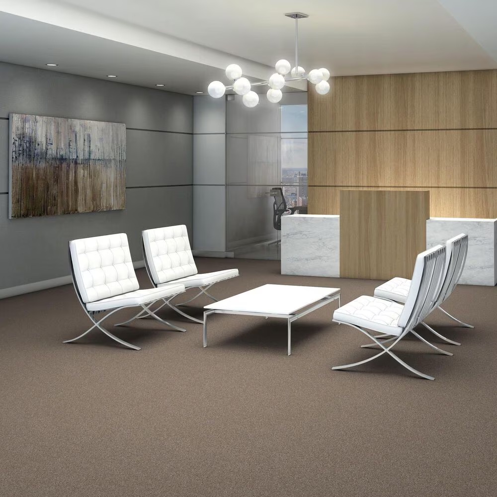 Shaw Yes You Can III Carpet in Subtle Clay