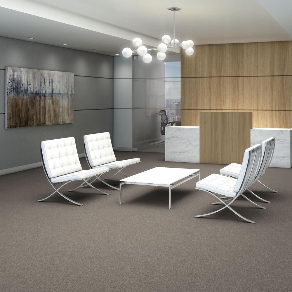 Shaw Yes You Can III Carpet in Sculpture
