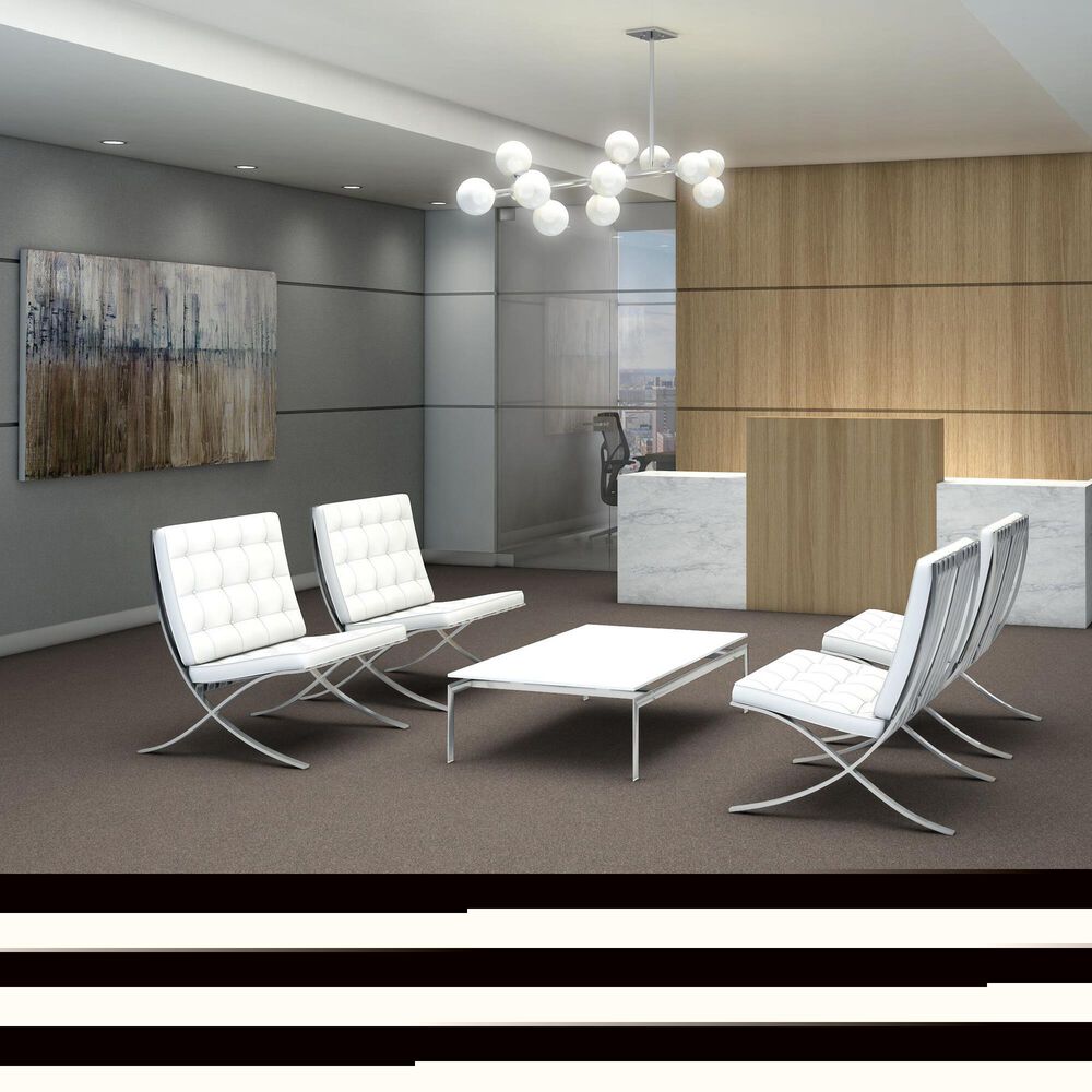 Shaw Yes You Can III Carpet in Warm Light