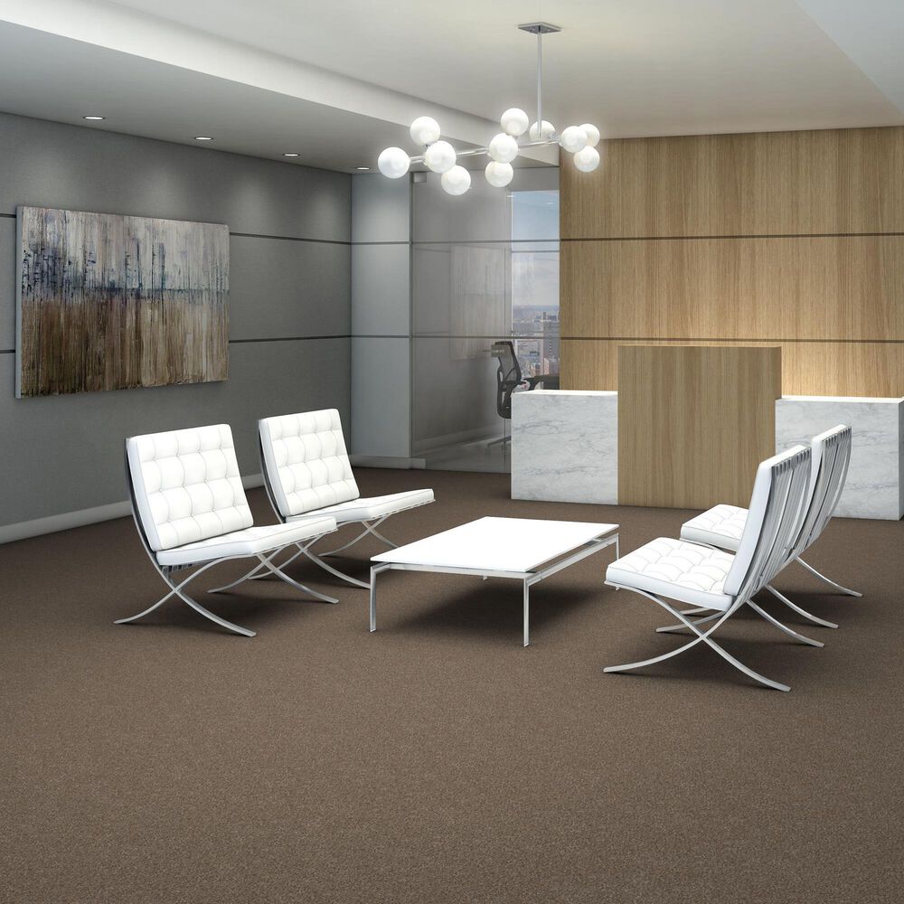 Shaw Yes You Can III Carpet in Honeycomb