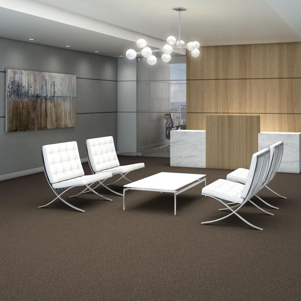 Shaw Yes You Can III Carpet in Mission Ridge