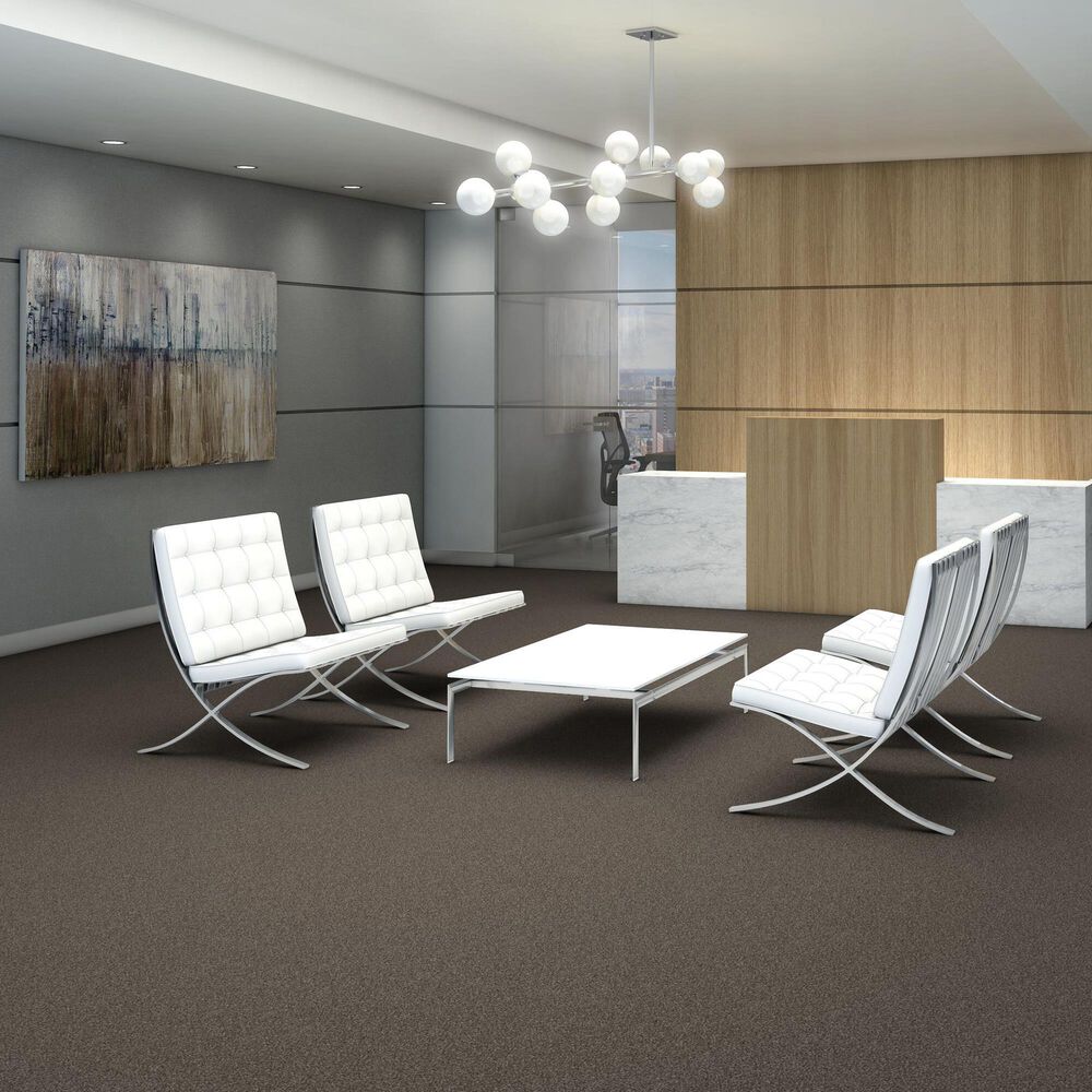 Shaw Yes You Can III Carpet in Urban Rustic