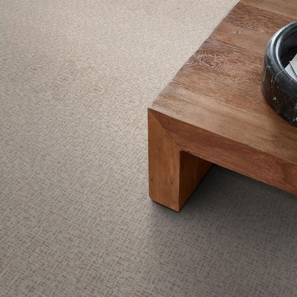 122927-anderson-tuftex-caboodle-carpet-in-balanced-1.jpg
