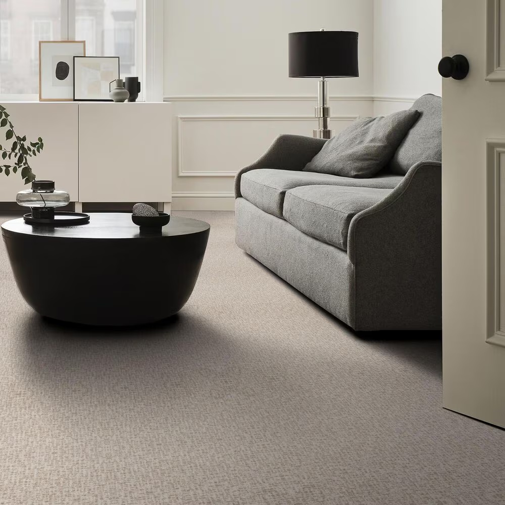 122927-anderson-tuftex-caboodle-carpet-in-balanced-1.jpg