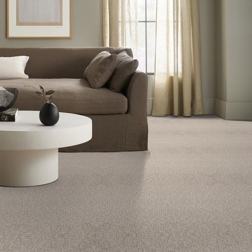 122927-anderson-tuftex-caboodle-carpet-in-balanced-1.jpg
