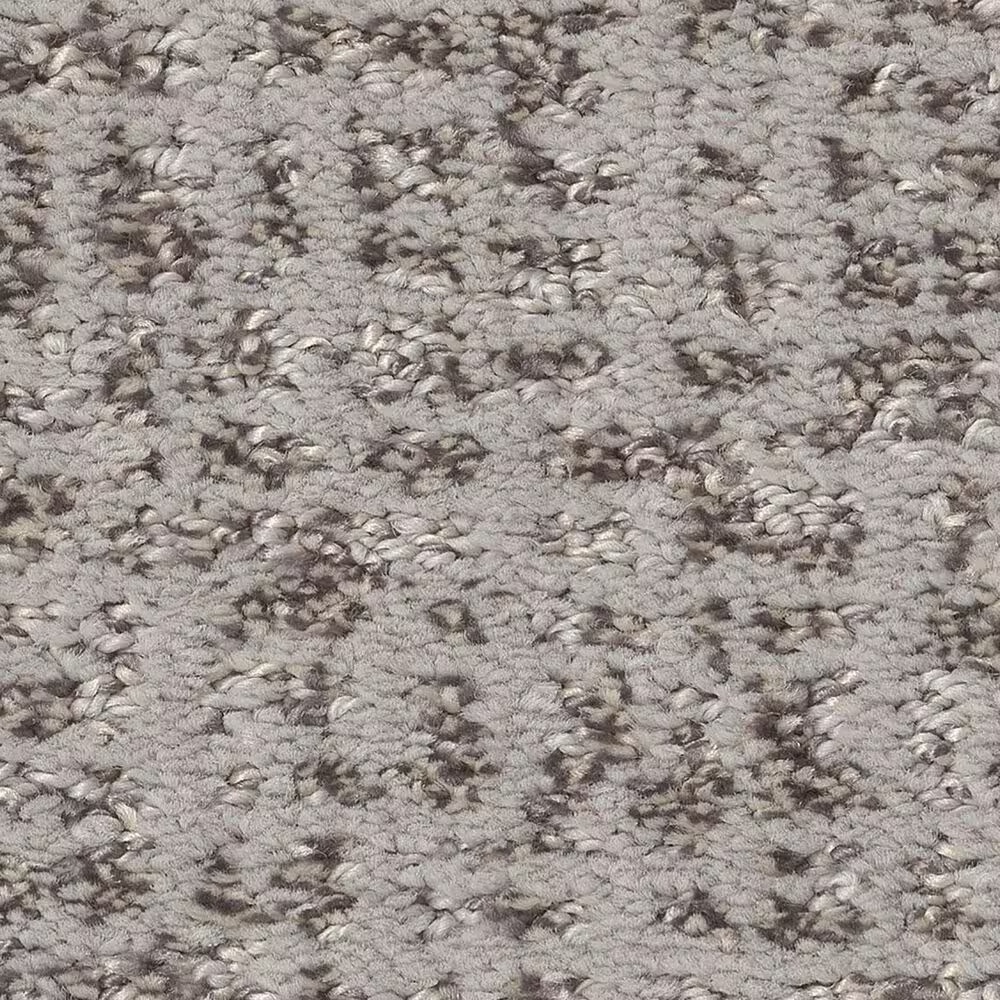 Anderson Tuftex Caboodle Carpet in Solitude