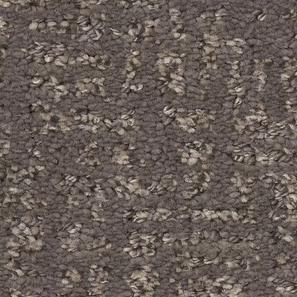 Anderson Tuftex Caboodle Carpet in Shade