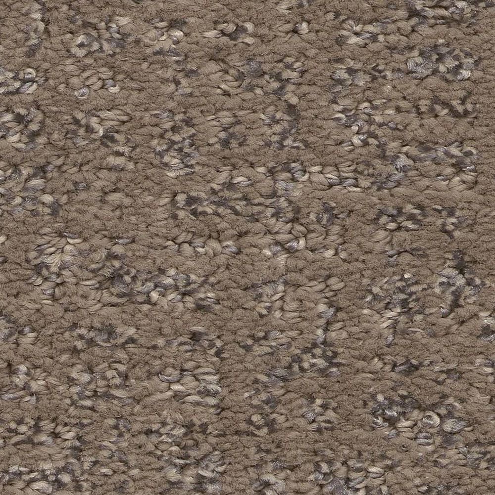 Anderson Tuftex Caboodle Carpet in Sable