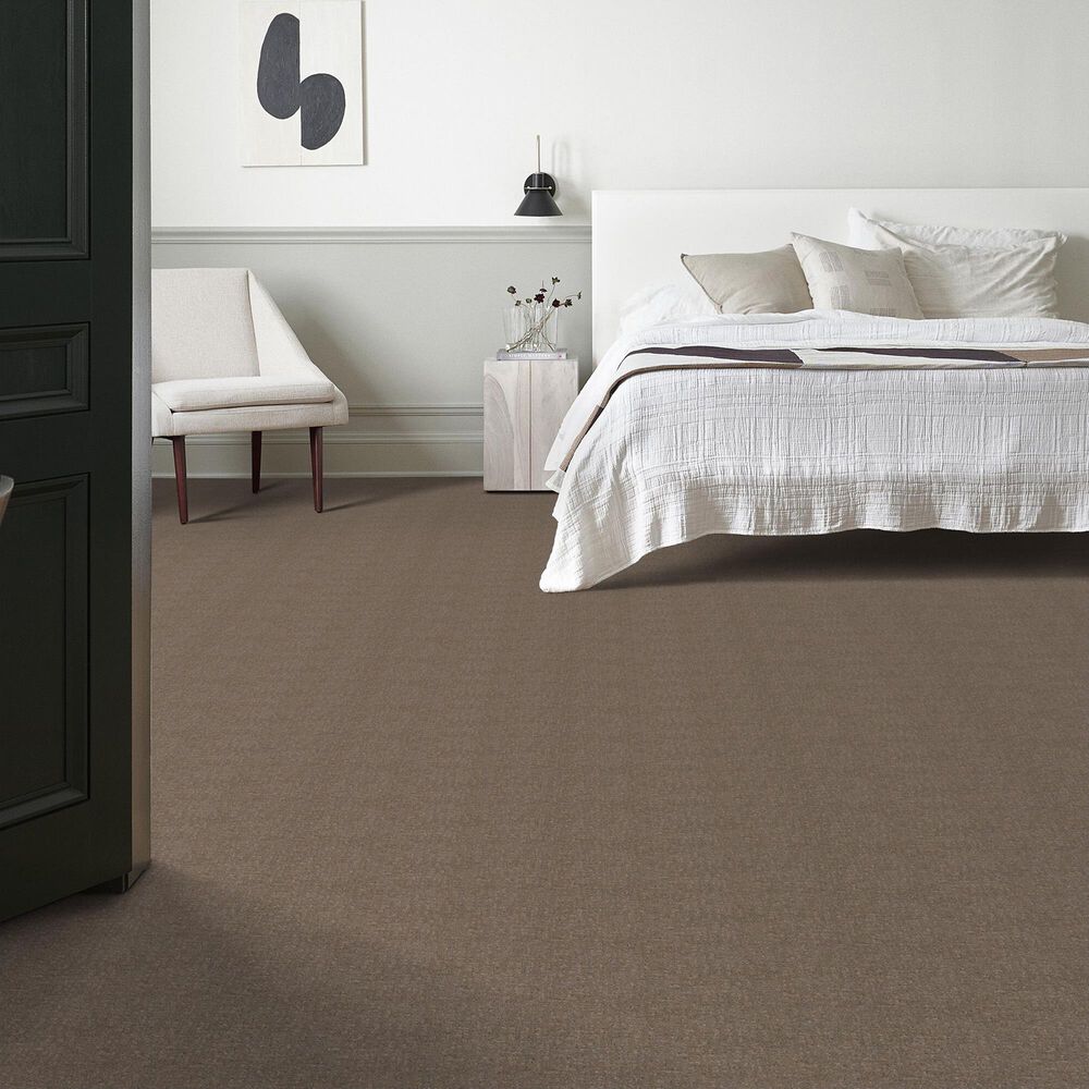 122938-anderson-tuftex-caboodle-carpet-in-sable-1.jpg