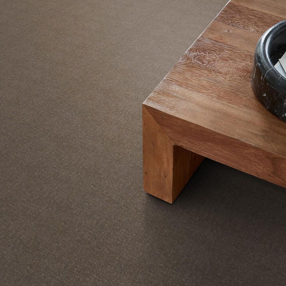 122938-anderson-tuftex-caboodle-carpet-in-sable-1.jpg