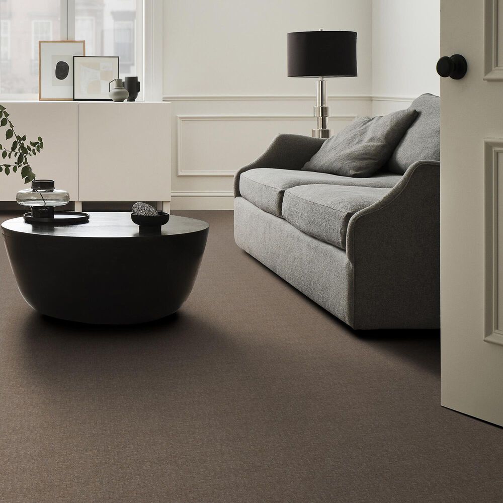 122938-anderson-tuftex-caboodle-carpet-in-sable-1.jpg